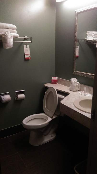 Bad Hotel Super 8 St Augustine I 95