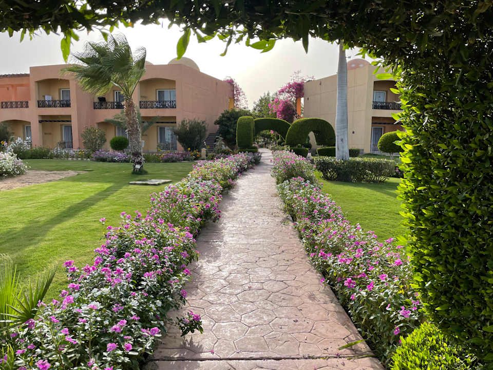 Gartenanlage Wadi Lahmy Azur Resort