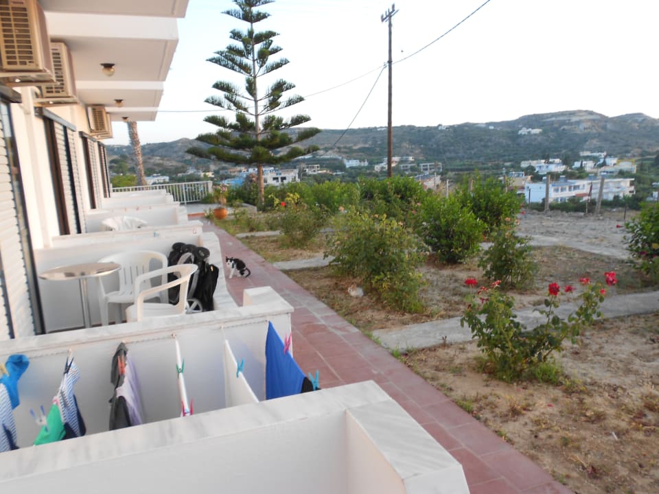 Ausblick Archodia Studios