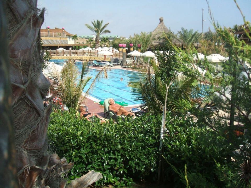 Pool Hane Family Resort