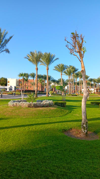 Außenansicht SUNRISE Royal Makadi Resort
