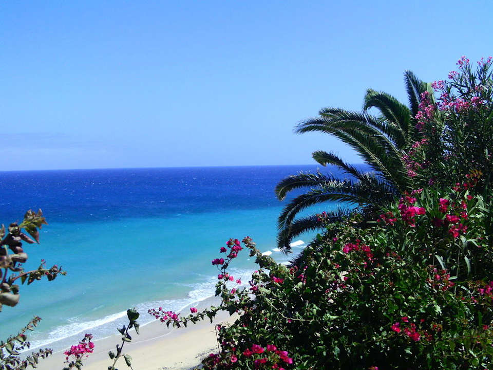 Spaziergang rund um das Hotel SBH Club Paraiso Playa