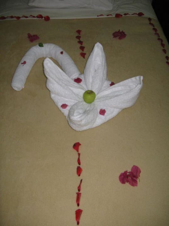 Цветок Panorama Bungalows Resort El Gouna