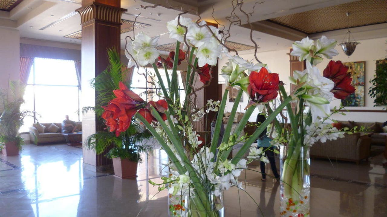 Lobby Stella Garden Resort & Spa, Makadi Bay