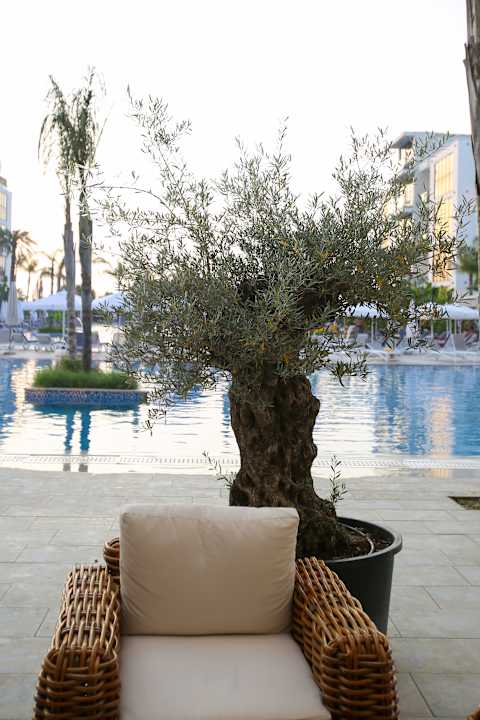 Sonstiges Oricon Coast Luxury Resort