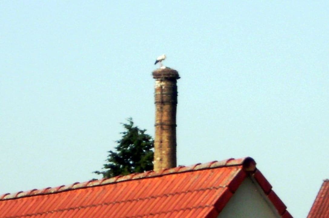 Ein Storchennest in Sichtweite Landhotel zur Klinke