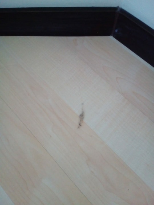 Zimmer Hotel Orfeus Park