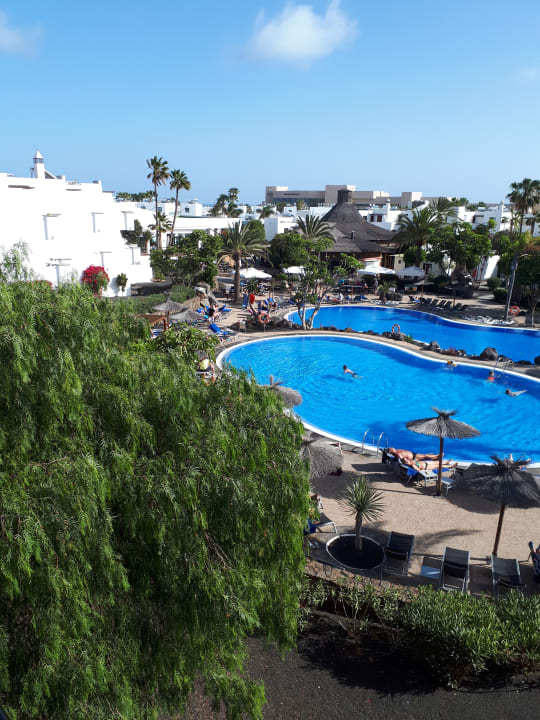 Ausblick allsun App.-Hotel Albatros