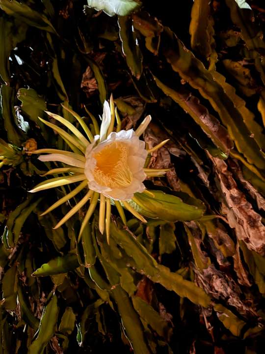 Sonstiges Bahari Beach Hotel