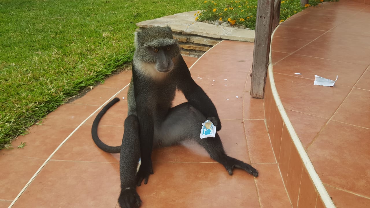 Sonstiges Neptune Village Beach Resort & Spa