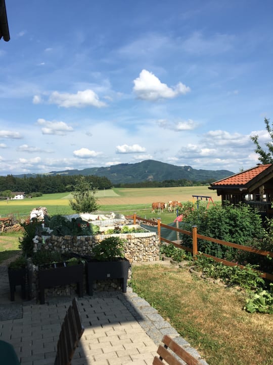 Ausblick Siglbauernhof