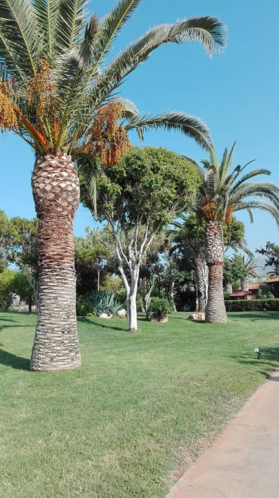 Gartenweg Anissa Beach & Village