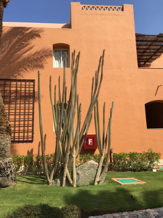 Außenansicht Hotel JAZ Makadi Star & Spa