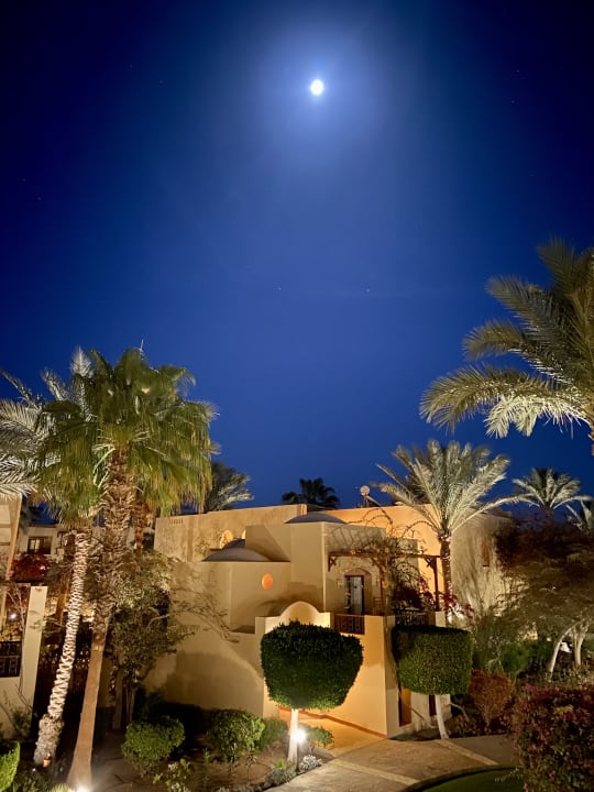 Außenansicht Steigenberger Coraya Beach - Adults only