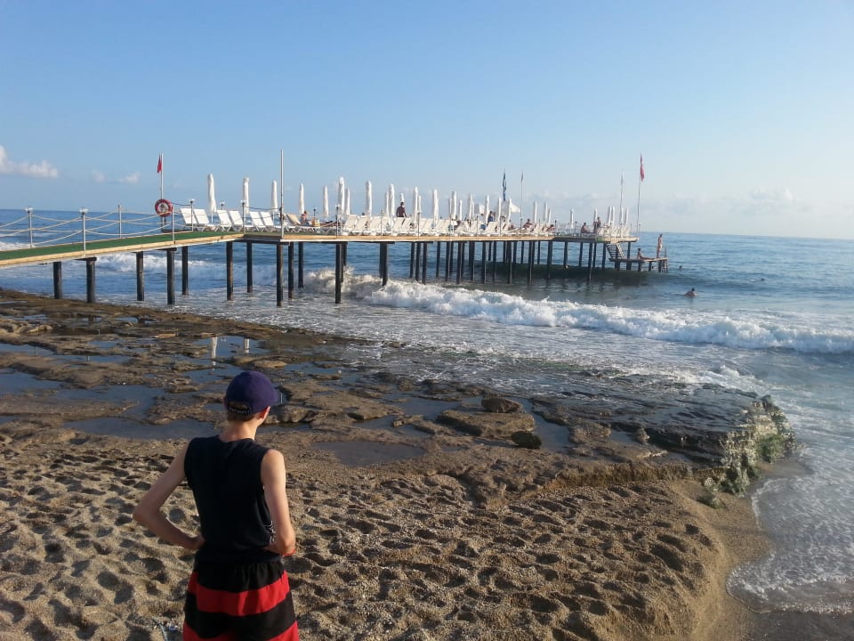 8 Dizalya Palm Garden