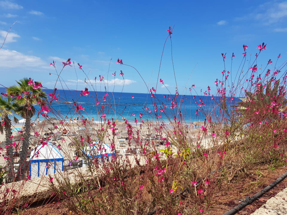 Strand Hotel Riu Arecas - Adults only