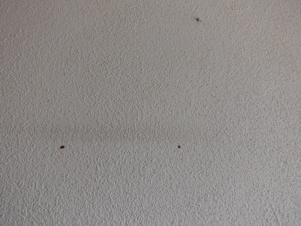 "Wanddekoration"  Das Hotel Panorama