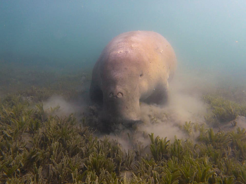 Sport & Freizeit Lahami Bay Beach Resort