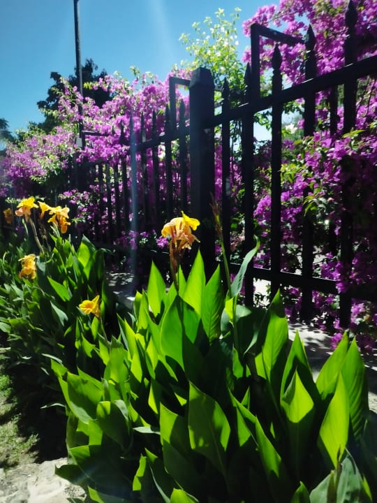 Gartenanlage Hotel Neptün/Neptun