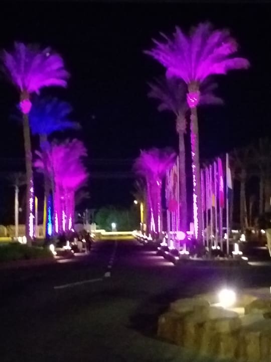 Gartenanlage Pickalbatros Alf Leila Wa Leila Resort - Neverland Hurghada