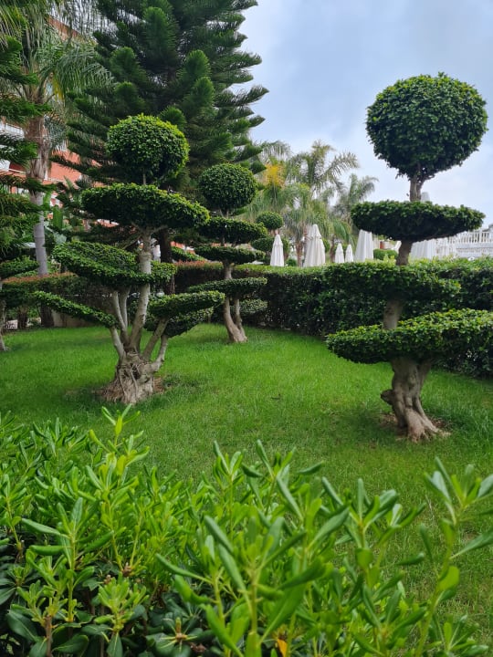 Gartenanlage Royal Taj Mahal Hotel
