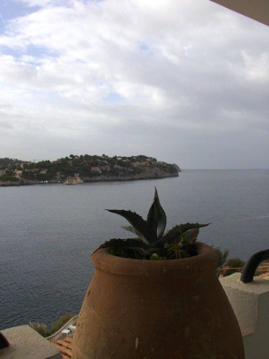 Ausblick aus Zimmer 611 Sentido Fido Punta del Mar – Adults only