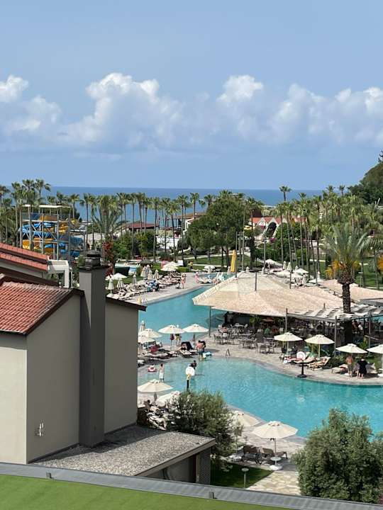 Ausblick Arum Barut Collection