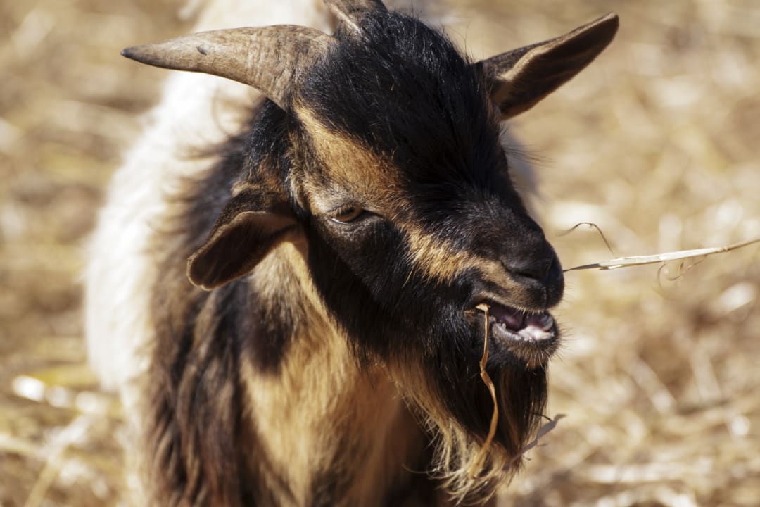 Sonstiges Residenze Di Campagna San Giuliano