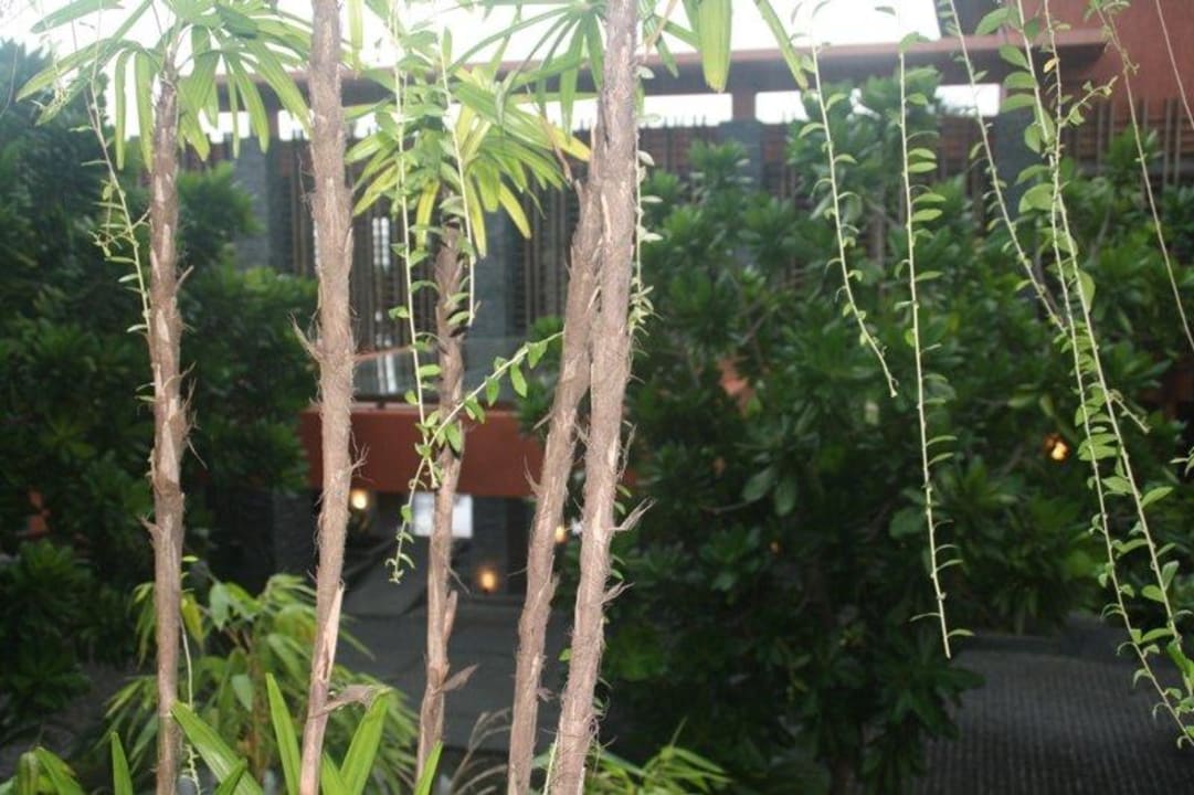 Urig Anantara Bophut Koh Samui Resort