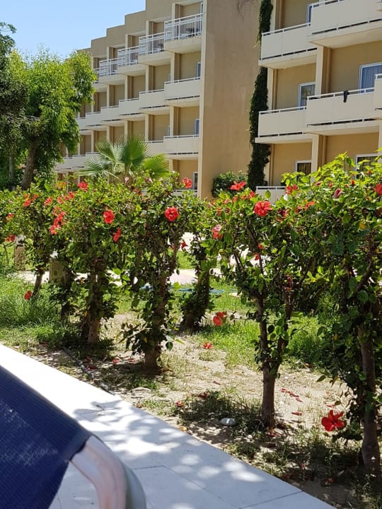 Gartenanlage Sunshine Rhodes