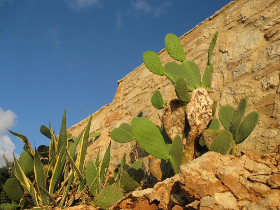 Schön schön Hotel Kalithea Horizon Royal