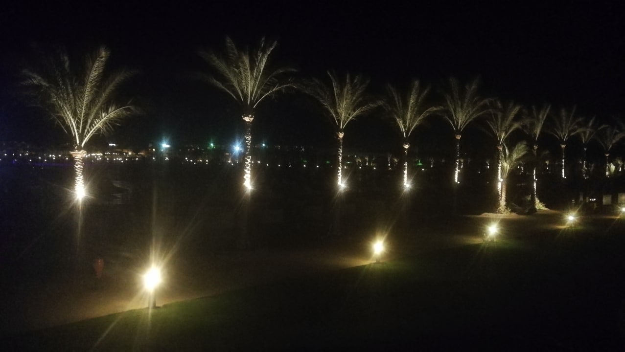 Ausblick Steigenberger Coraya Beach - Adults only