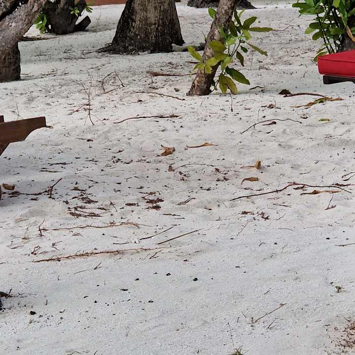 Strand Ellaidhoo Maldives by Cinnamon