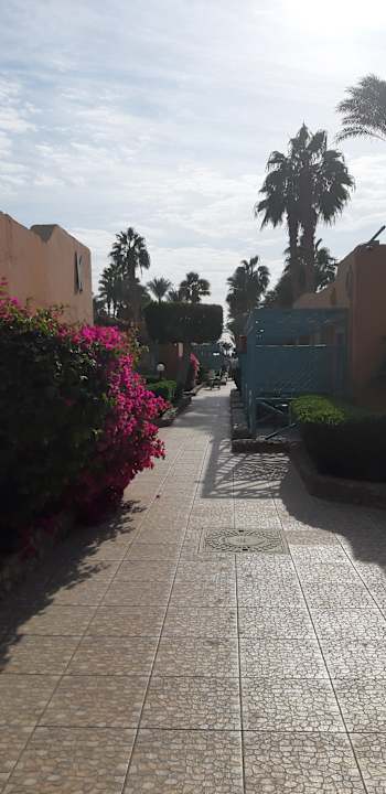 Ausblick Giftun Azur Resort