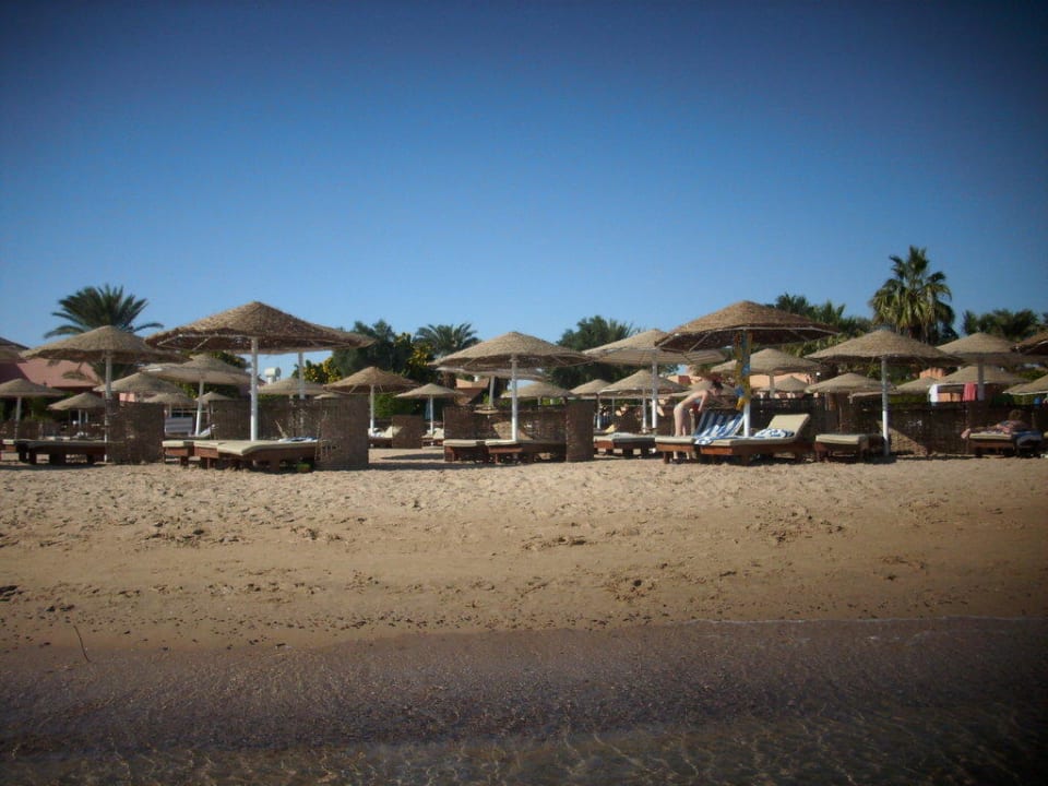 Strandansicht Eagles Paradise Abu Soma