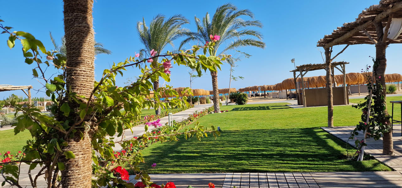 Ausblick Steigenberger Resort Ras Soma