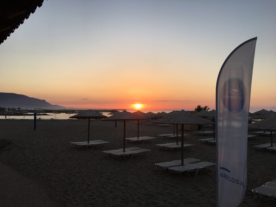 Ausblick allsun Hotel Carolina Mare