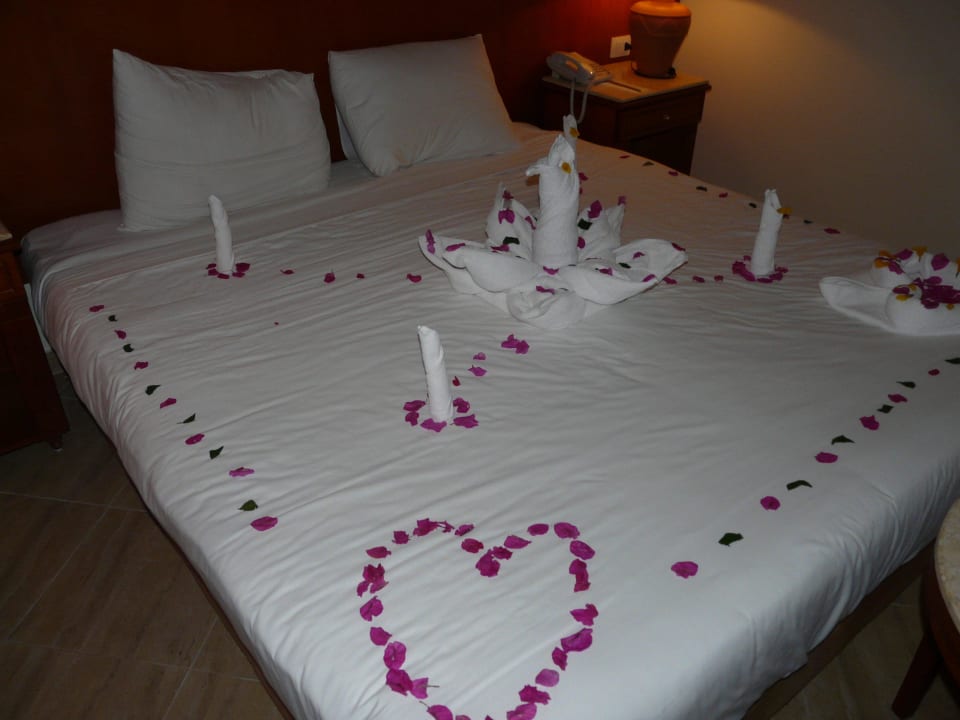 Jetzt is aber genug Malikia Resort Abu Dabbab