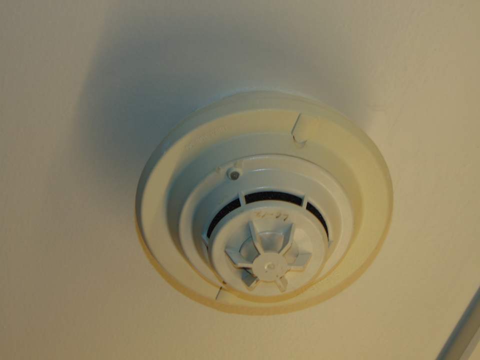 Zimmer Hotel Hyatt Regency Delhi