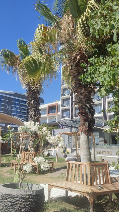 Außenansicht Sentido Marea