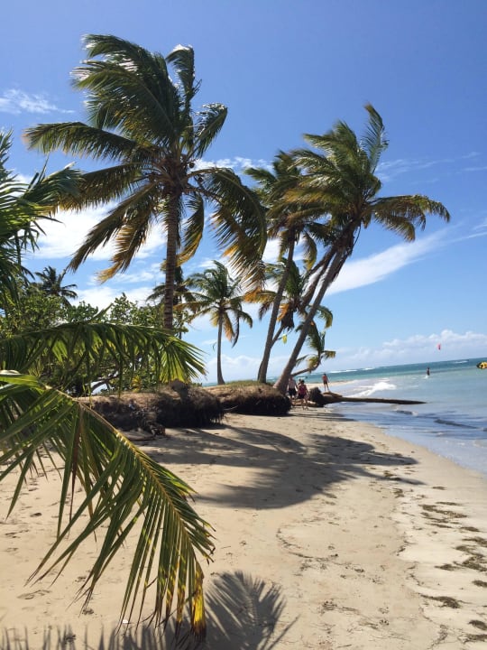 Links vom Hotel Bahia Principe Grand El Portillo