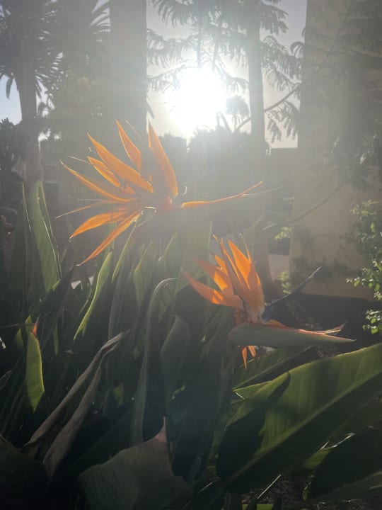 Außenansicht ROBINSON JANDIA PLAYA