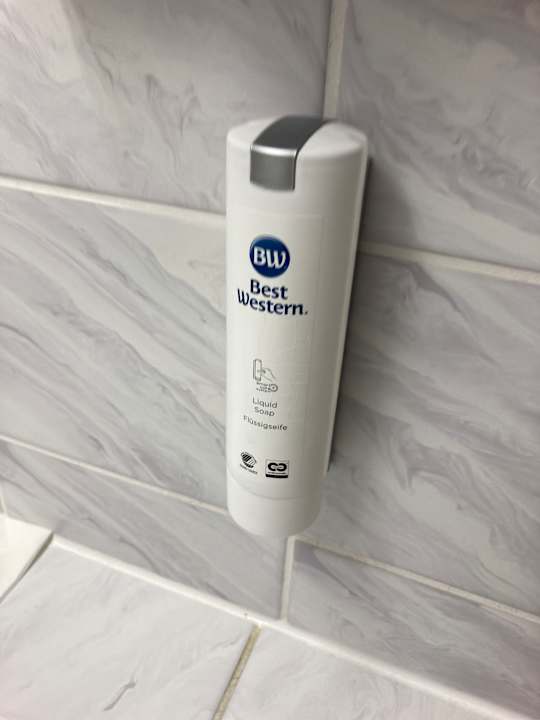 Zimmer Best Western Parkhotel Brehna - Halle