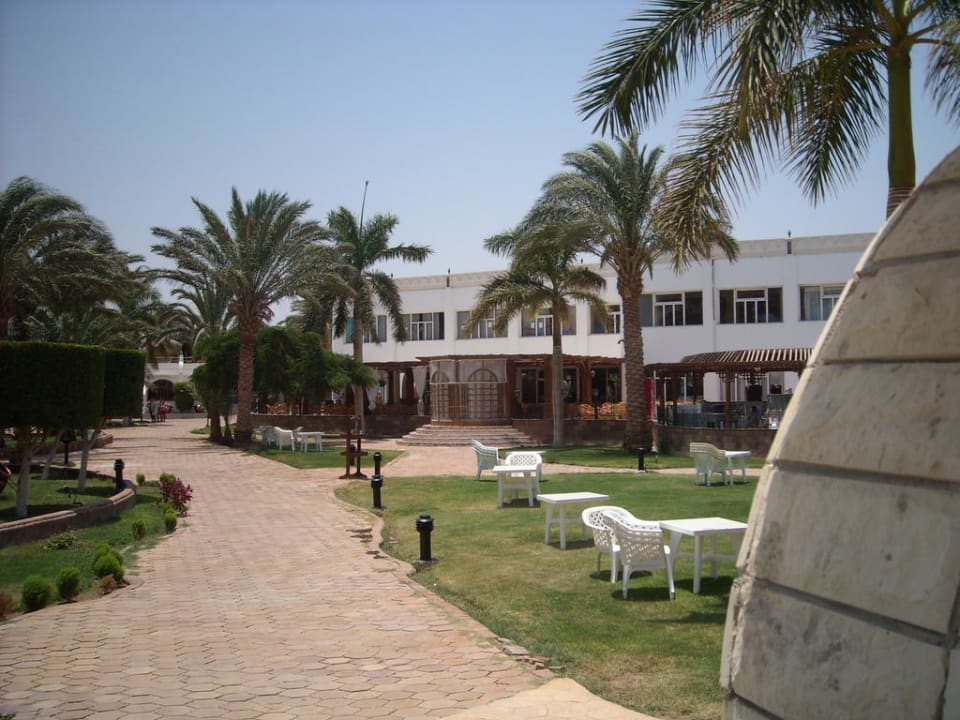 Eine tolle Bar Aladdin Beach Resort