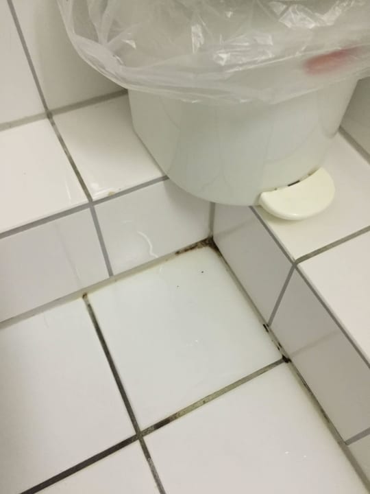 Überall schwarzer Schimmelpilz St.Joseph Hotel Hamburg St.Pauli Kiez Reeperbahn