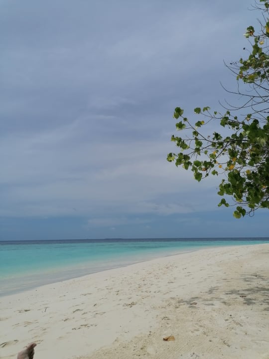 Strand Safari Island Maldives