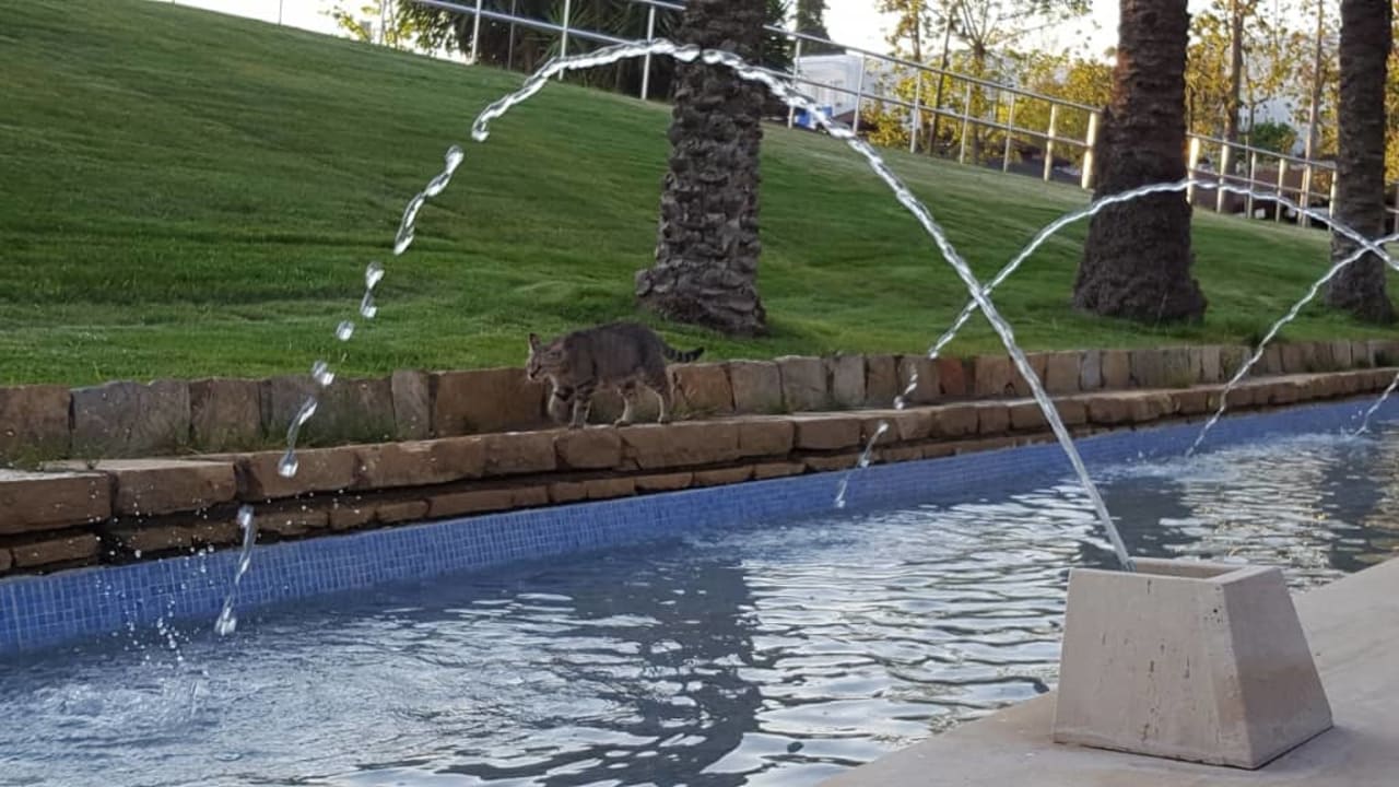 Widok Monachus Family Resort Sorgun
