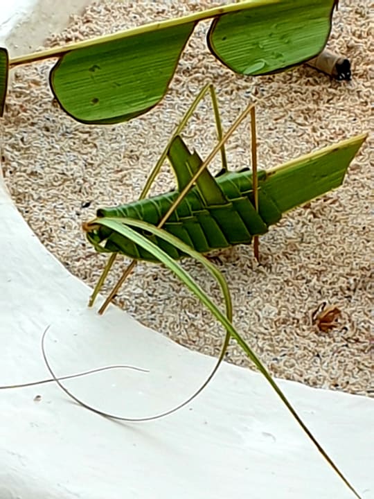 Sonstiges Akumal Bay Beach & Wellness Resort