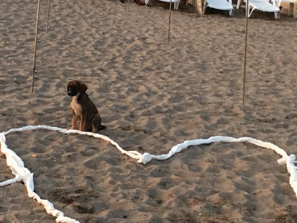 Strand Hotel Gardenia Beach