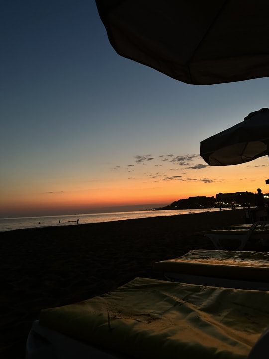 Strand AQI Pegasos Royal